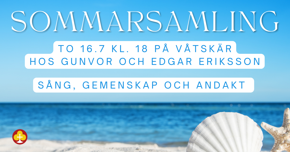 Hav och snäckor