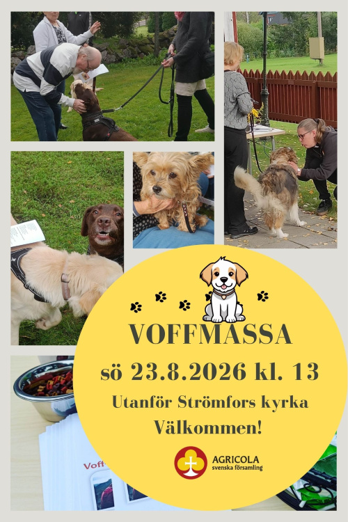 Bildcollage med hundar och människor